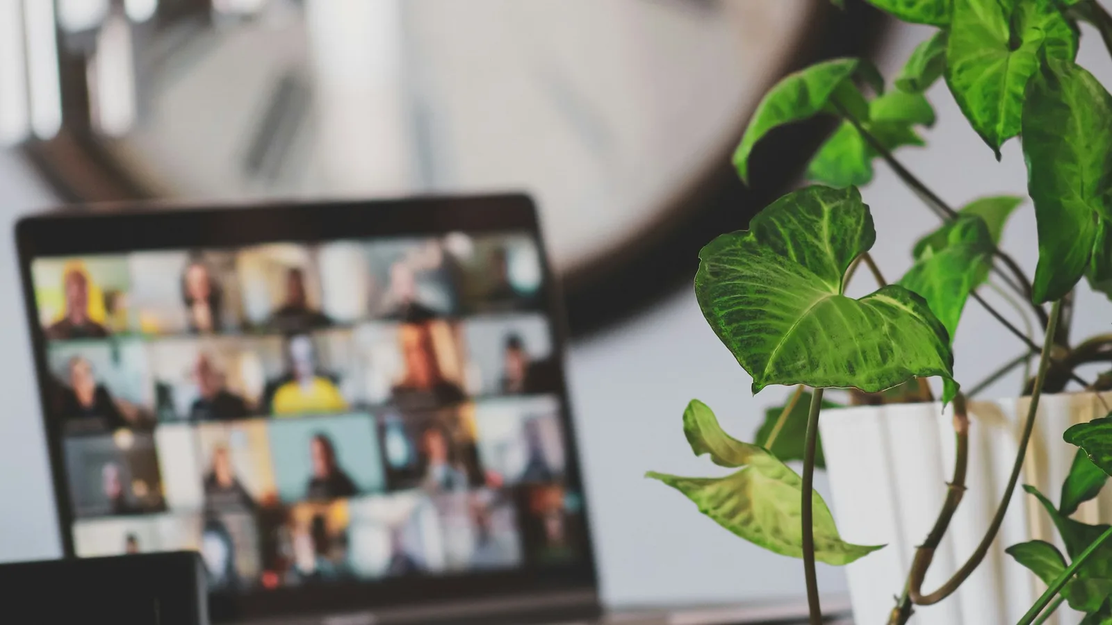 A laptop on a desk displaying a grid video call beside a houseplant, representing an online NHS CHC Independent Review Panel hearing held on Microsoft Teams.